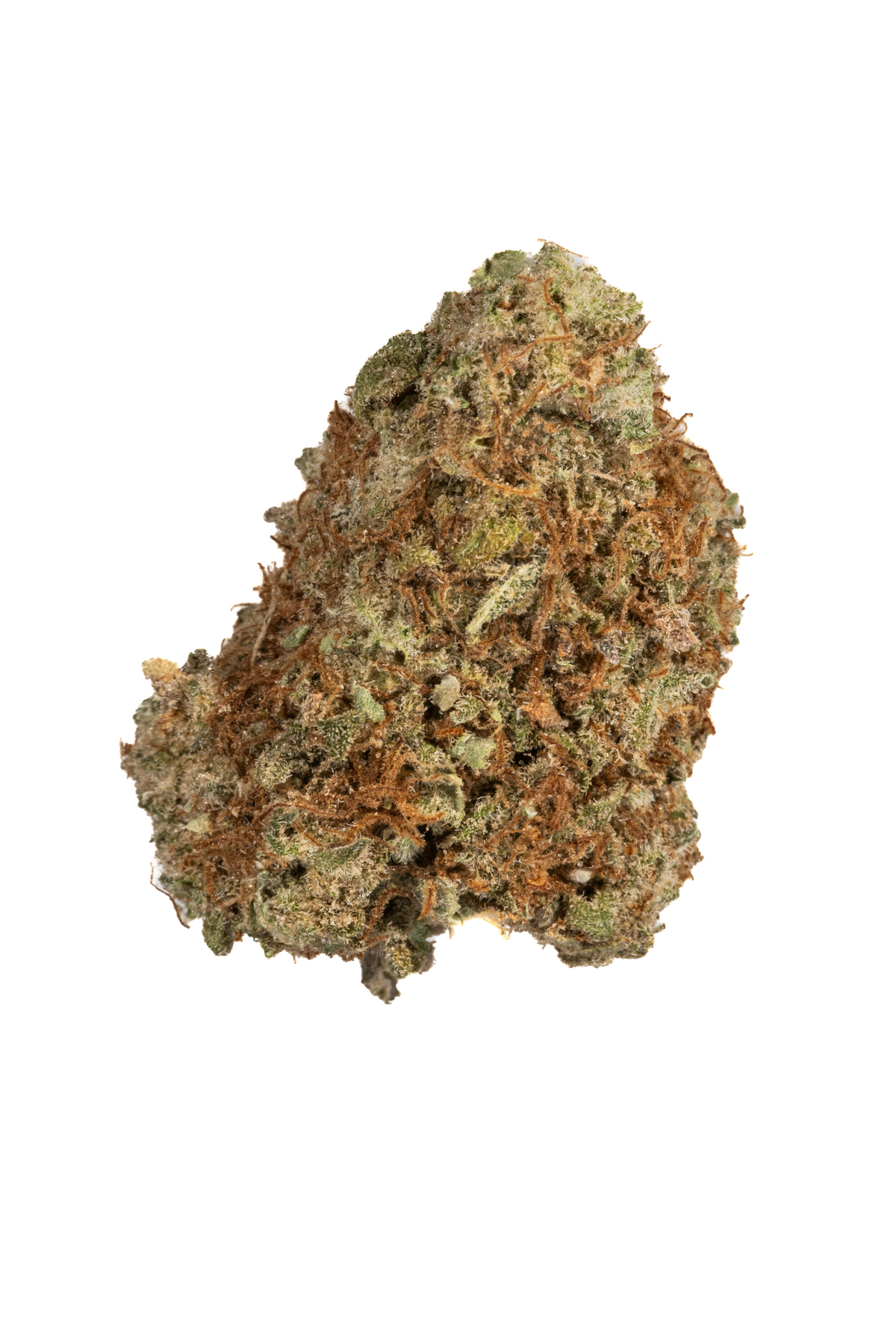 Bruce Banner sativa cannabis | Cannibisters Cape Town