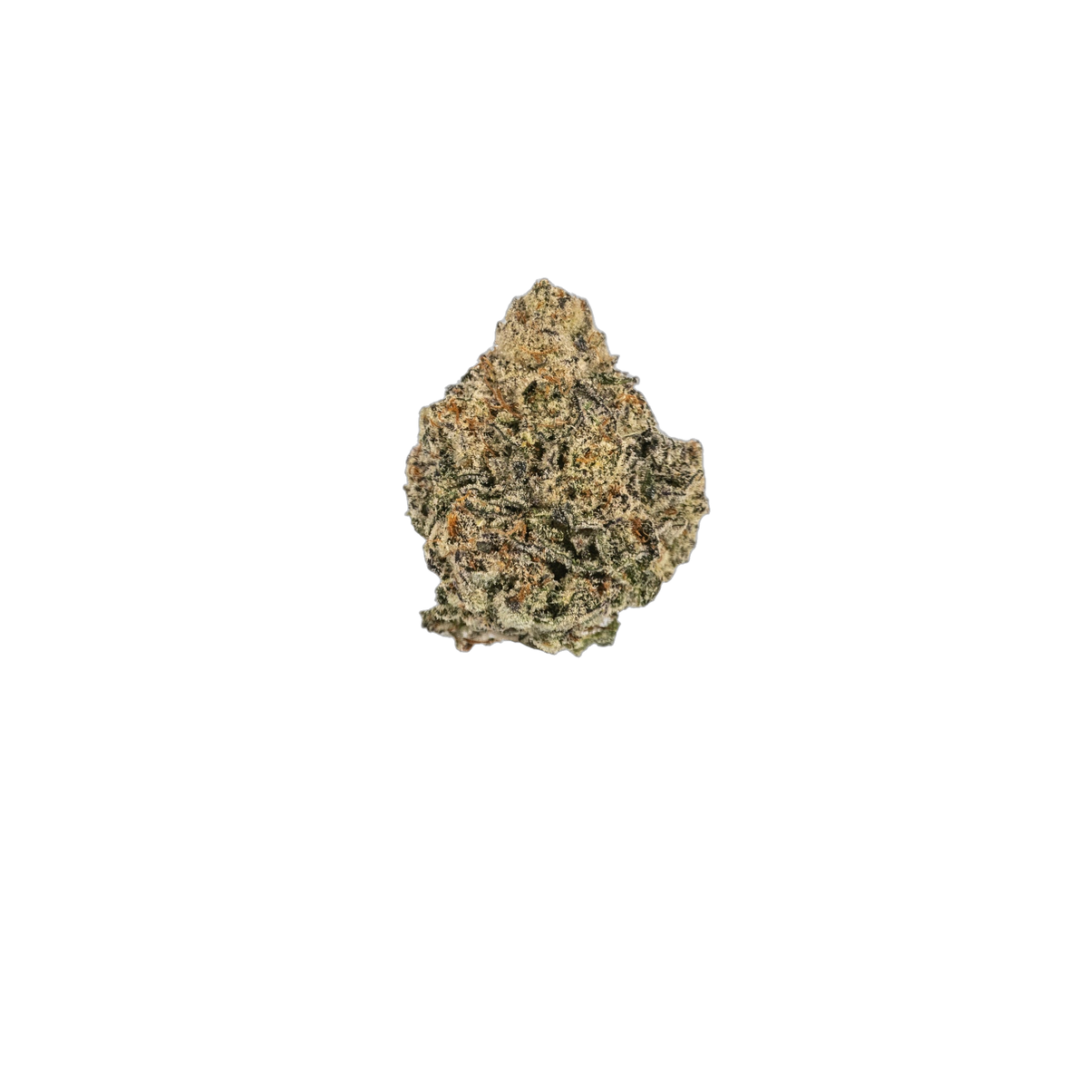 Candy Punch cannabis flower bud