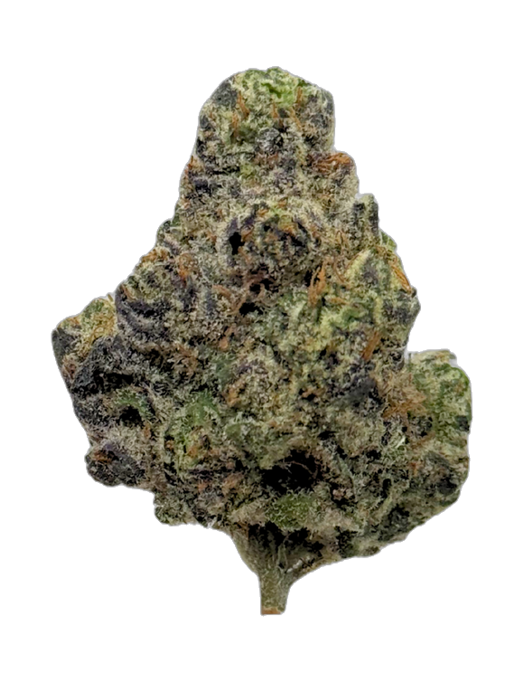 Cape Town Candy bud