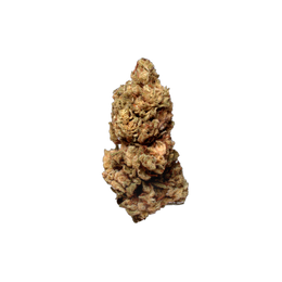 Champagne Rose (Organic Living Soil) cannabis flower bud