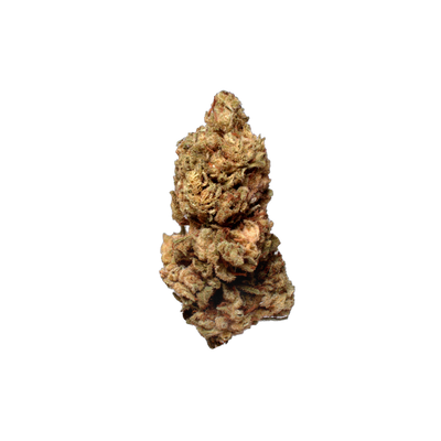Champagne Rose (Organic Living Soil) cannabis flower bud