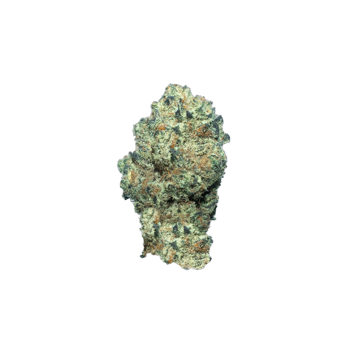 Chemex cannabis flower bud