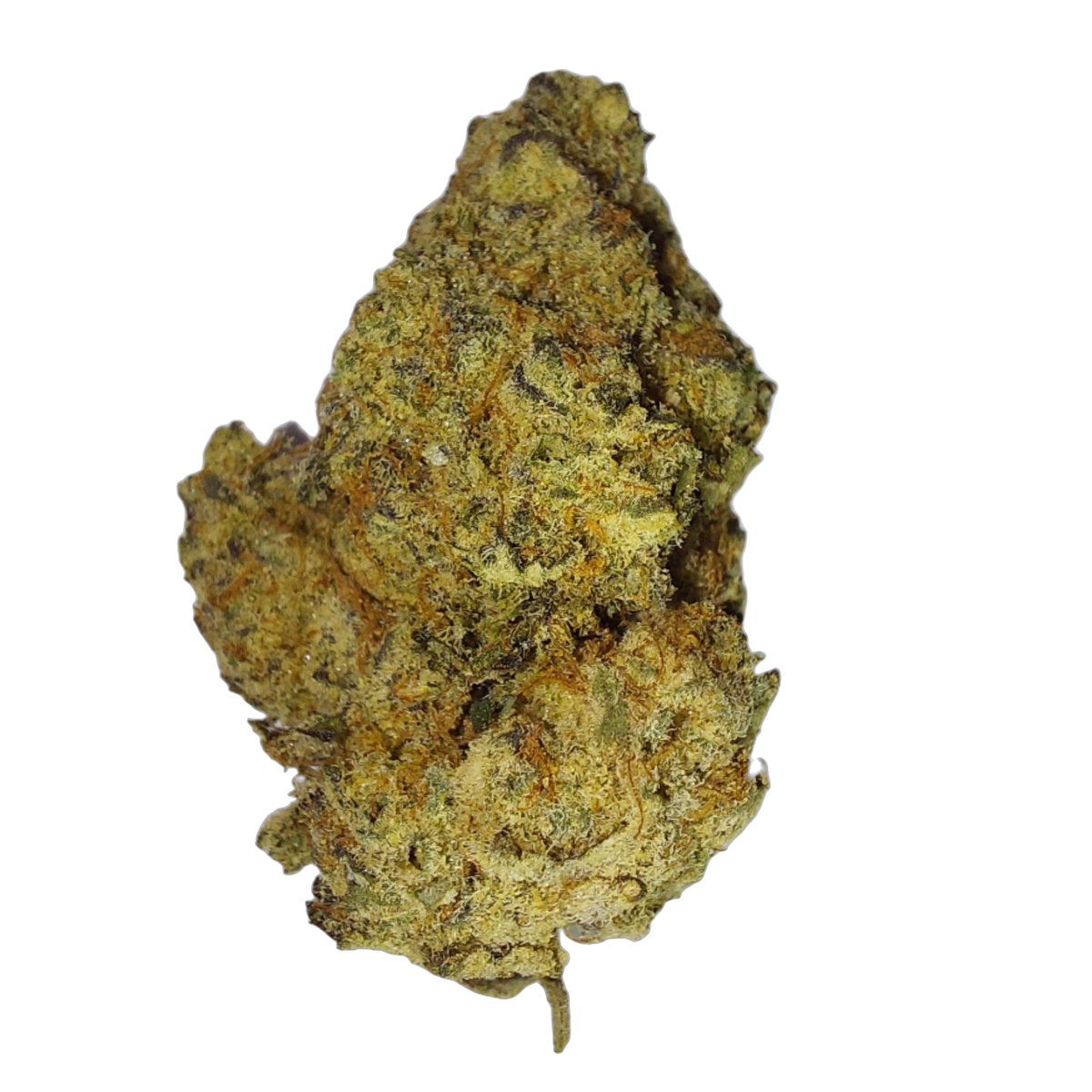Cotton Candy cannabis flower bud