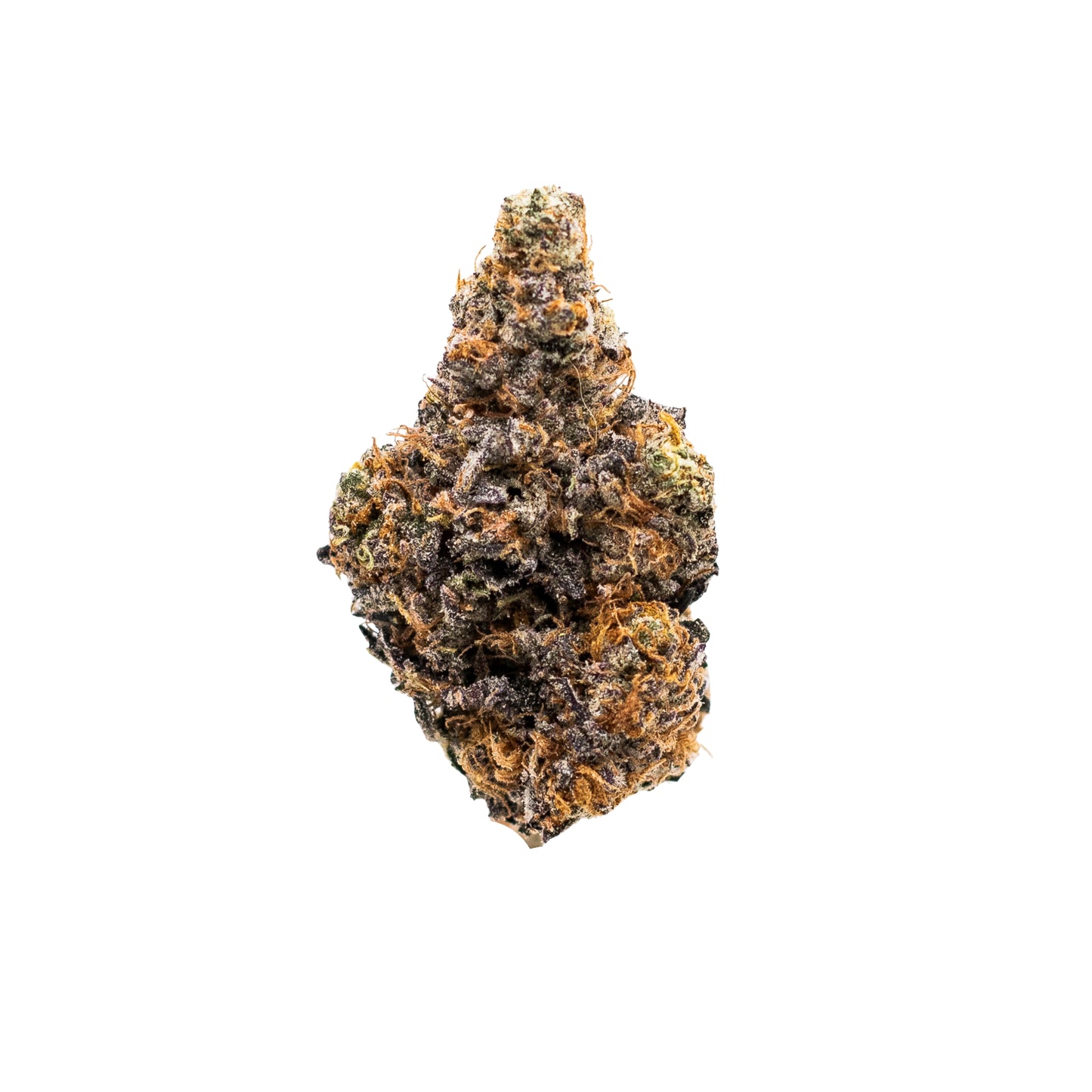 Domestic Disturbance