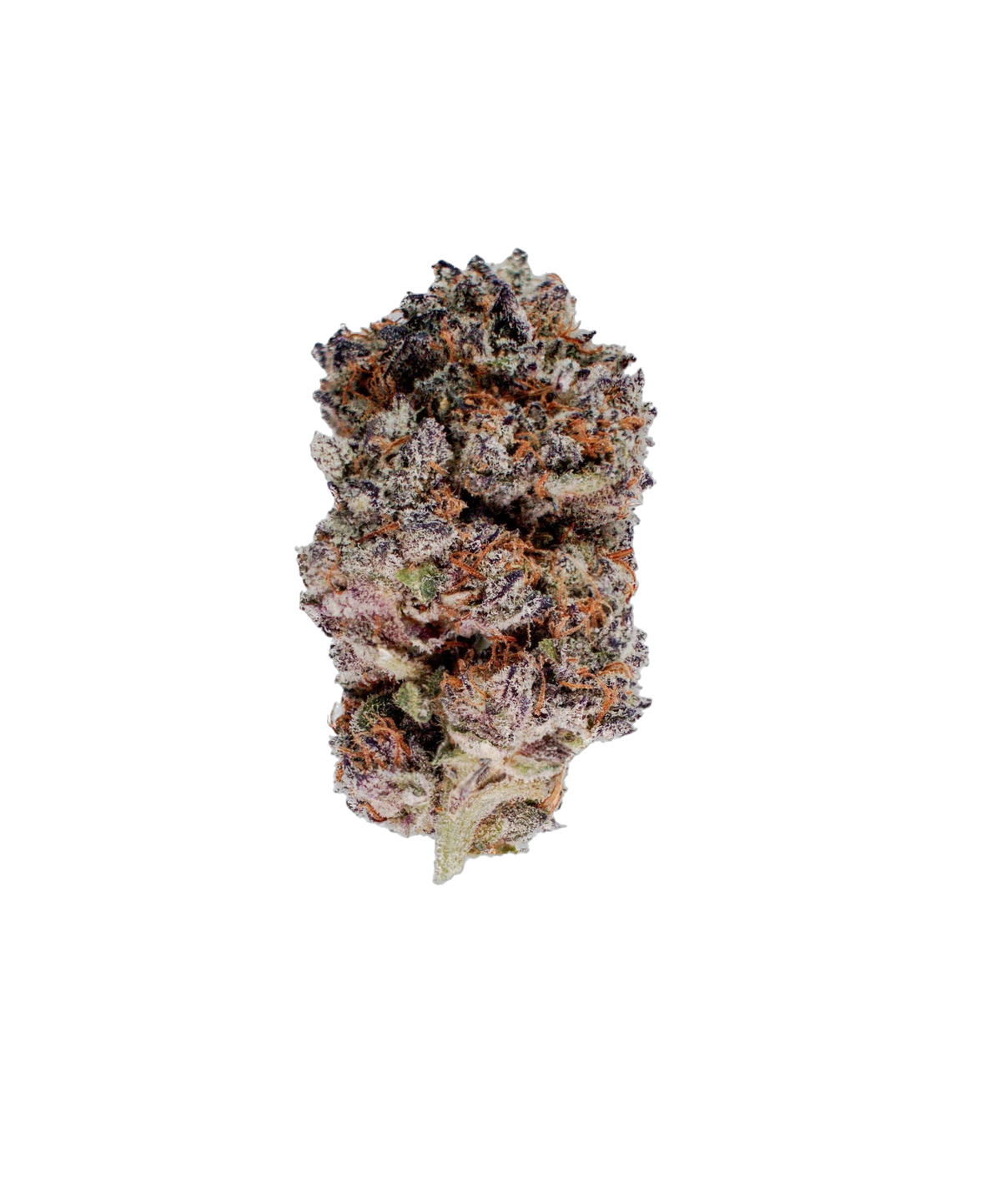 Doritoz cannabis flower bud