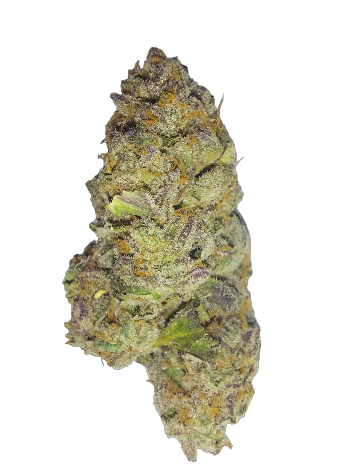 Dosi Do cannabis flower bud