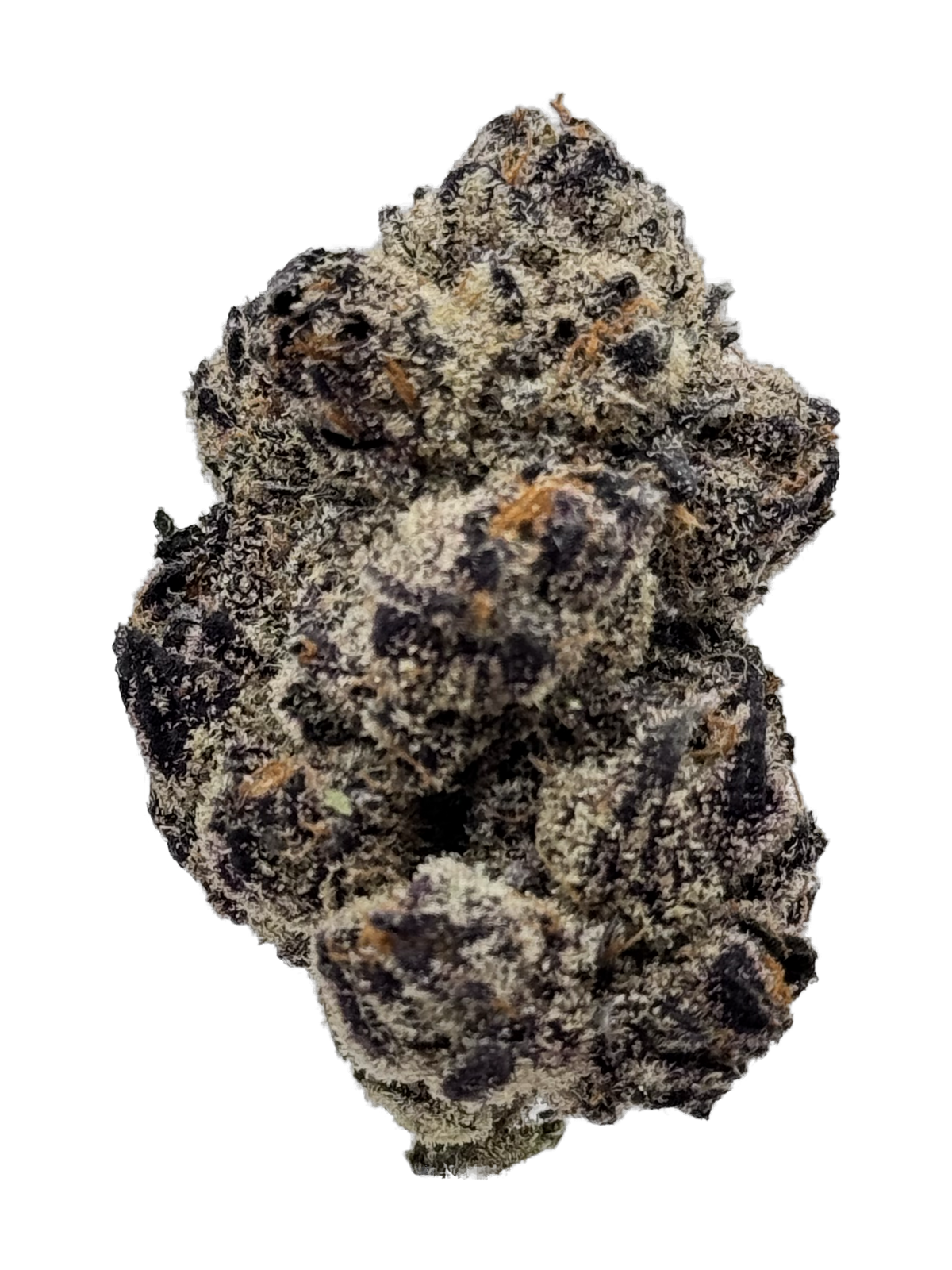 Dosi Do cannabis flower bud