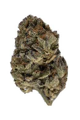 Dosi Punch cannabis flower bud