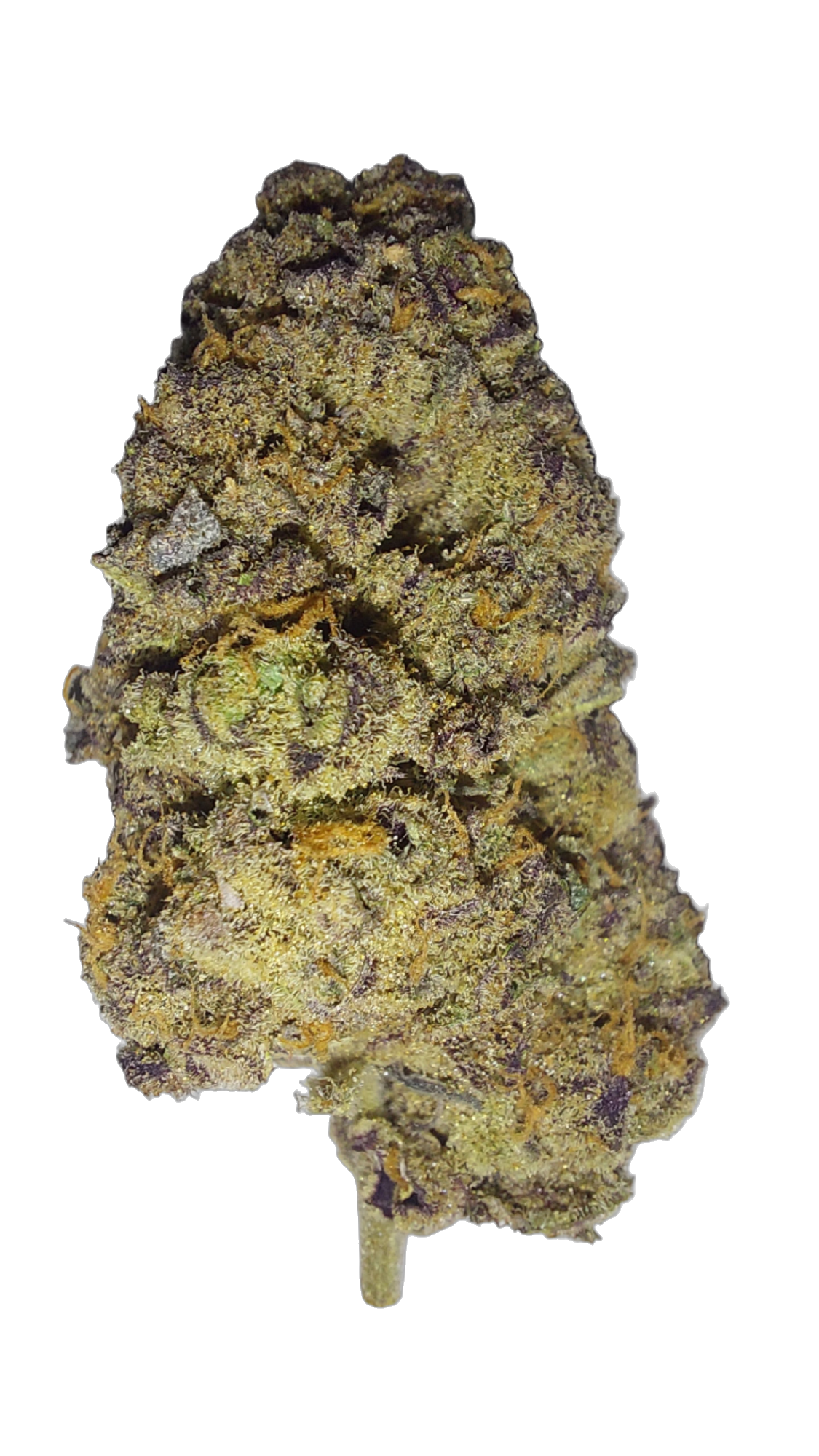 Dry Ice cannabis flower bud
