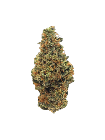 Durban Poison cannabis flower bud
