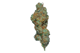 Frosted Apricot cannabis flower bud