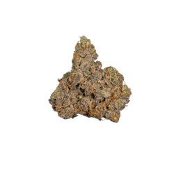 Gary Payton cannabis flower bud