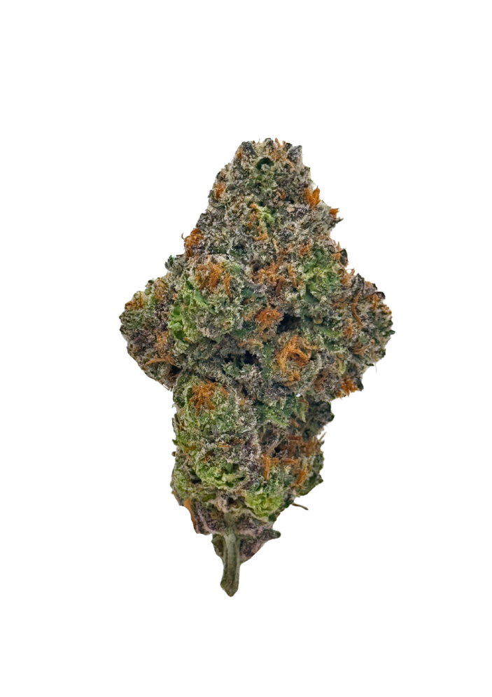 Gastro Pops cannabis flower bud