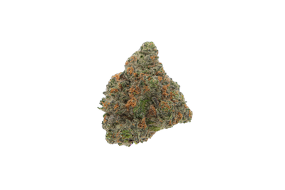 Girl Scout Cookies cannabis flower bud
