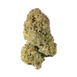 Grandpa's Endgame - Cannibisters Limited Collection cannabis flower bud