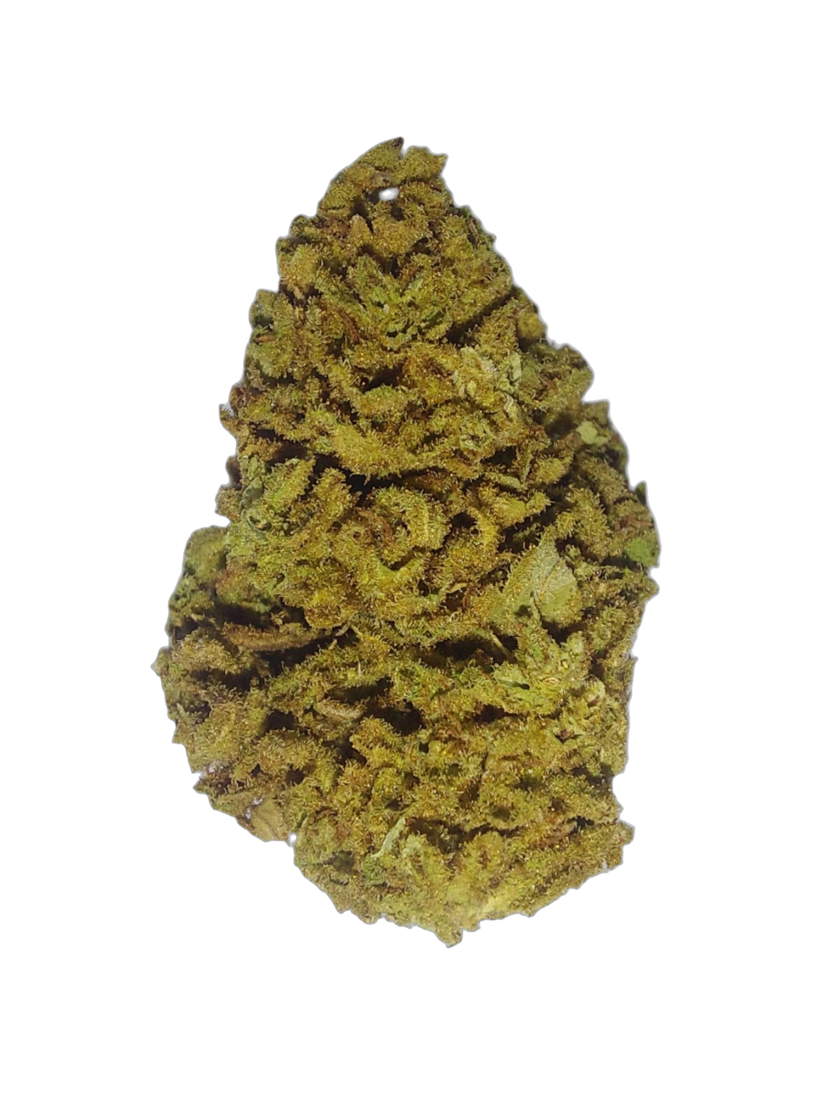 Grape Diamonds (Organic Living Soil) cannabis flower bud