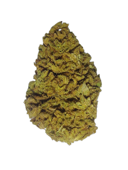 Grape Diamonds (Organic Living Soil) cannabis flower bud