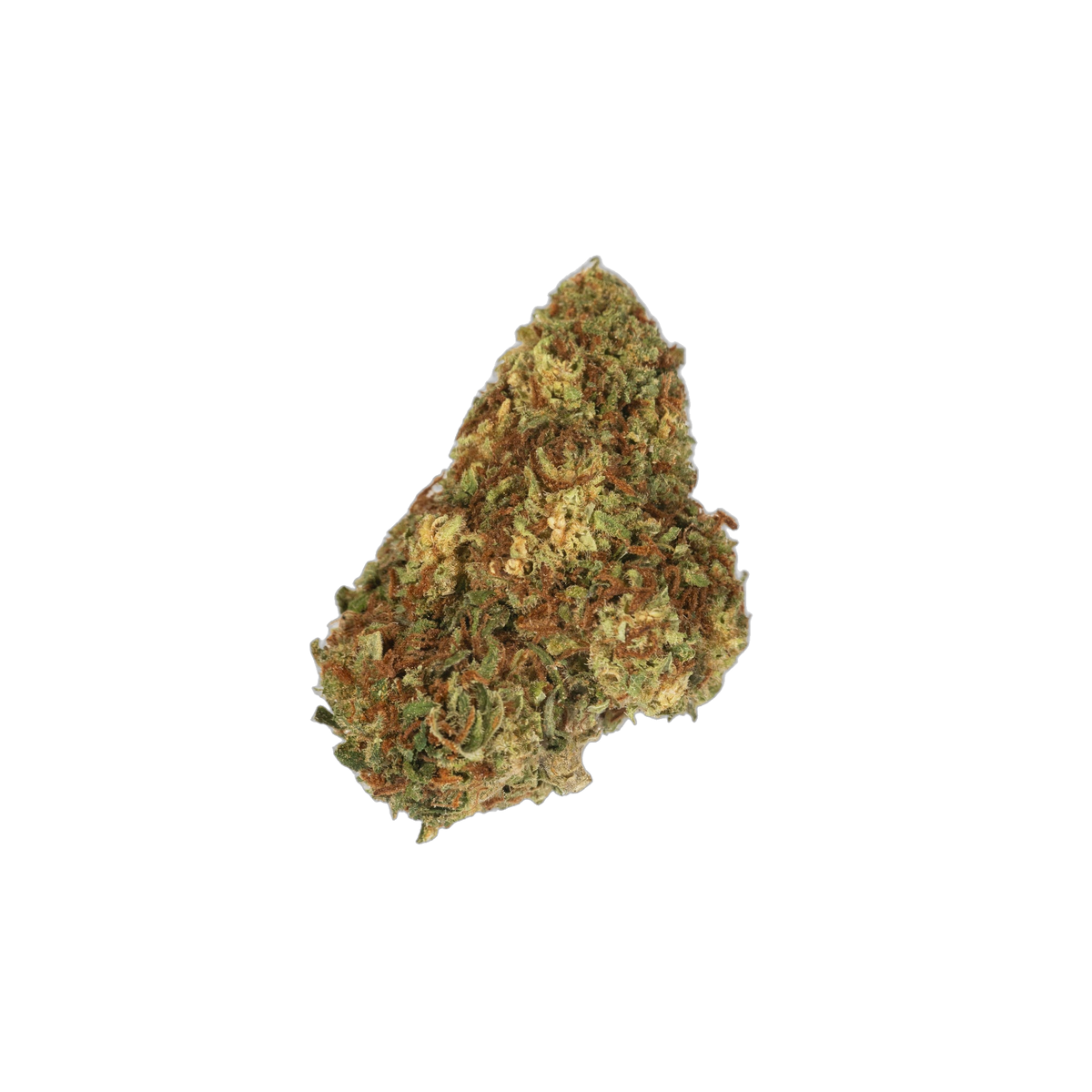 Greendoor Black Domina cannabis flower bud