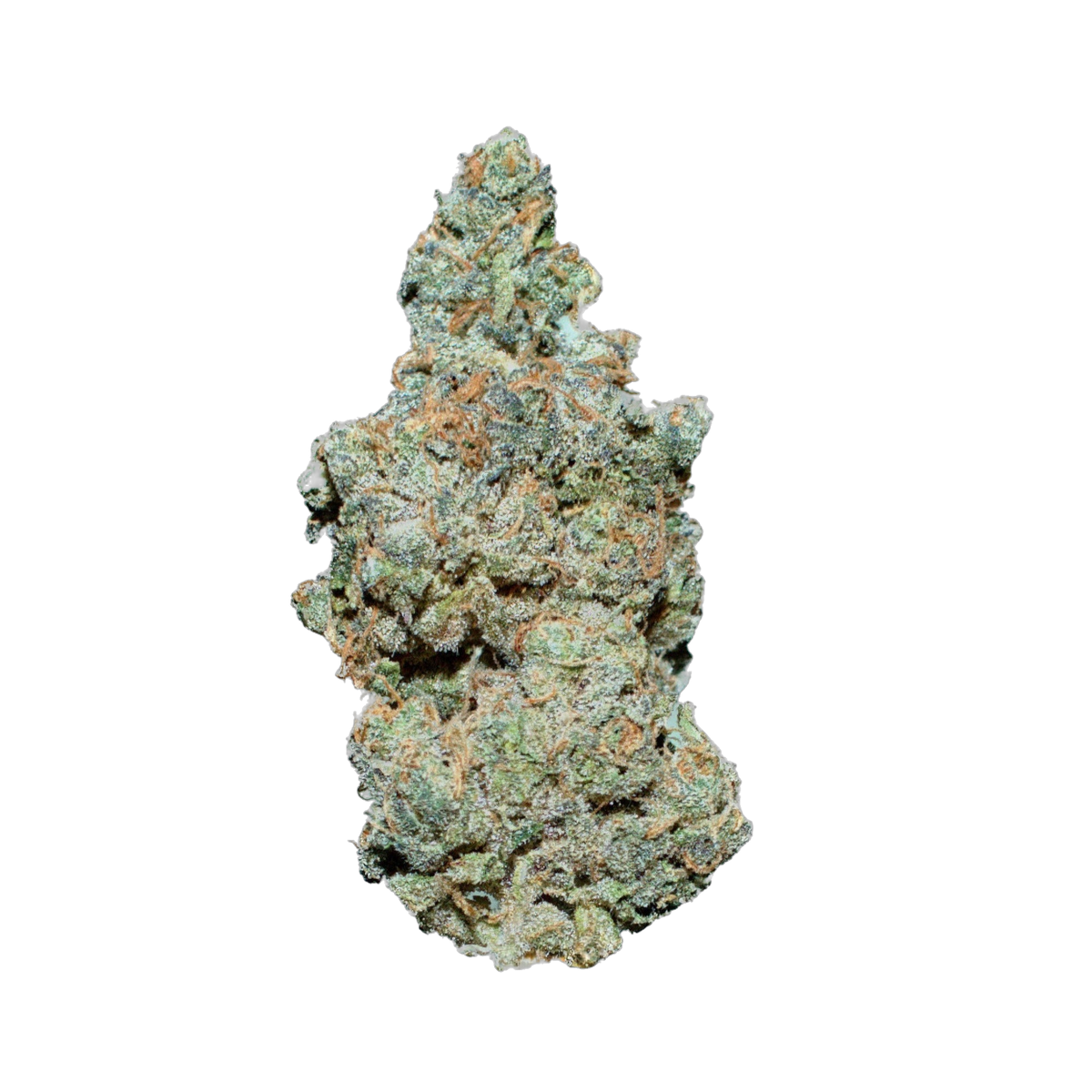 Honeycomb cannabis flower bud