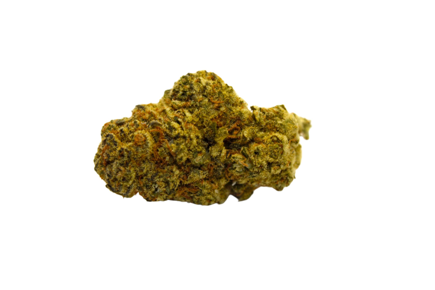 Hyper Glue indica cannabis strain — buy online Cape Town | Cannibisters