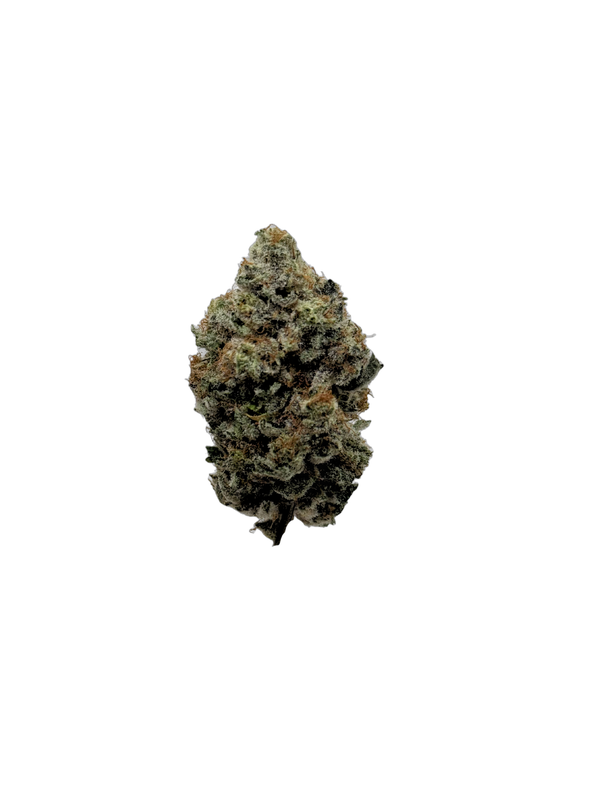 King's Crown cannabis flower bud