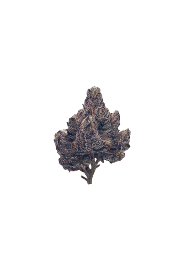LA Rosa cannabis flower bud