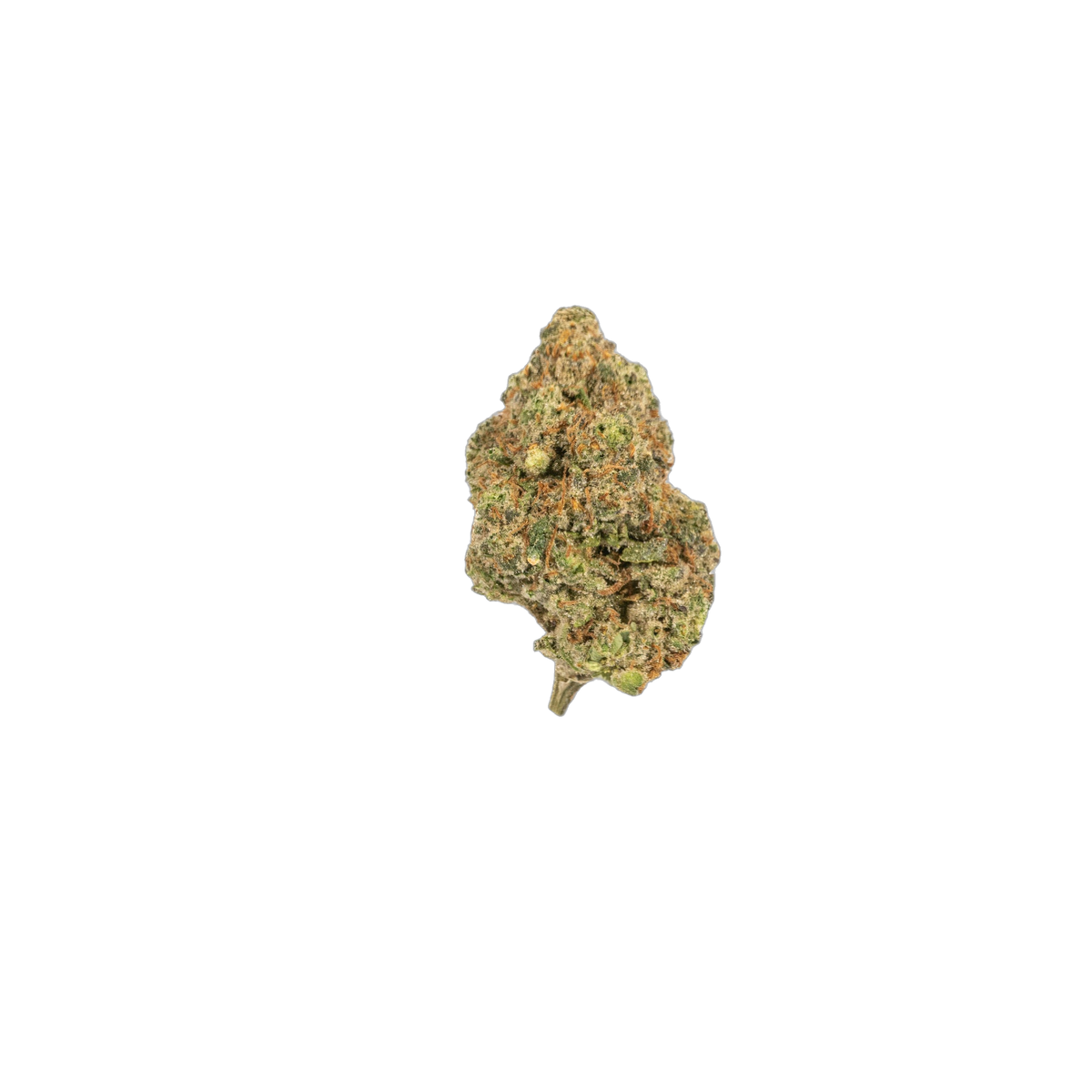Lemon Chai cannabis flower bud