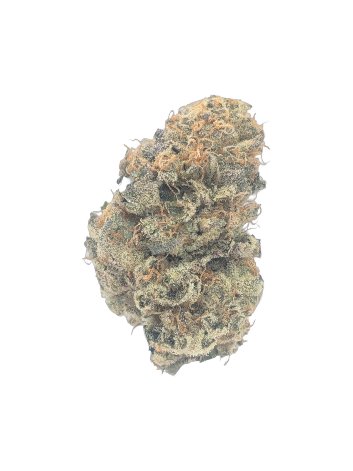 Lemon Twist sativa-dominant flower bud with frosty trichomes and orange pistils