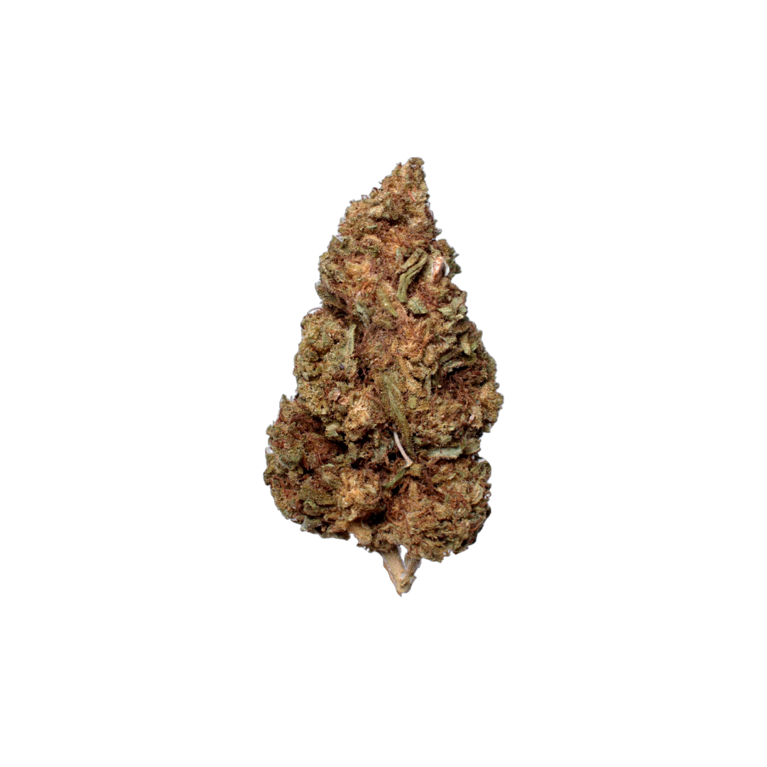 Dark Phoenix (Organic Living Soil) cannabis flower bud