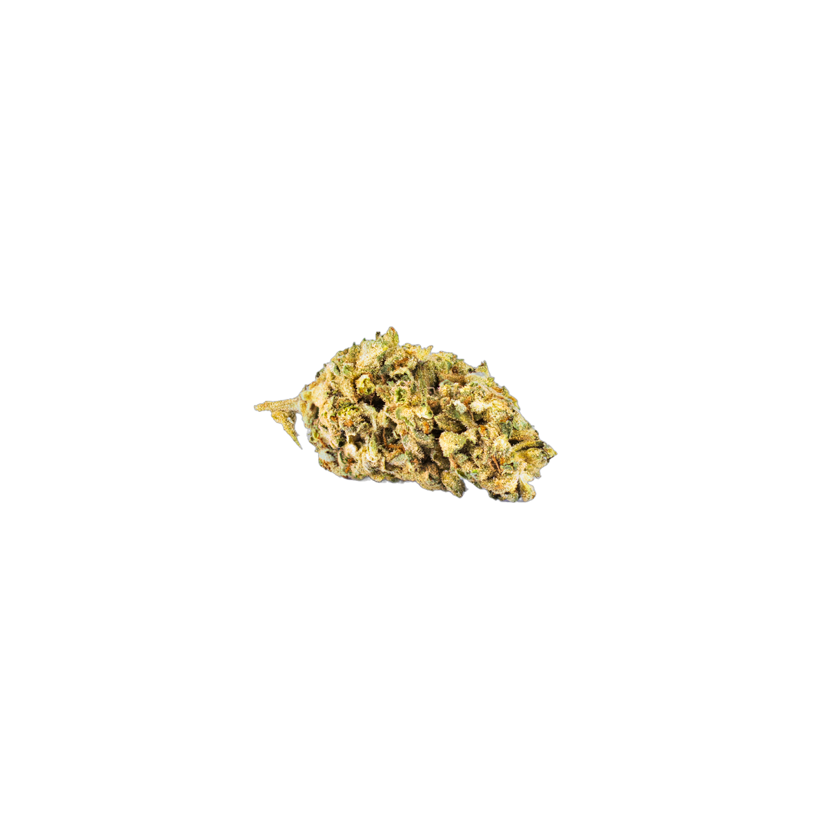 Sunset Sherbert GreenHouse cannabis flower bud