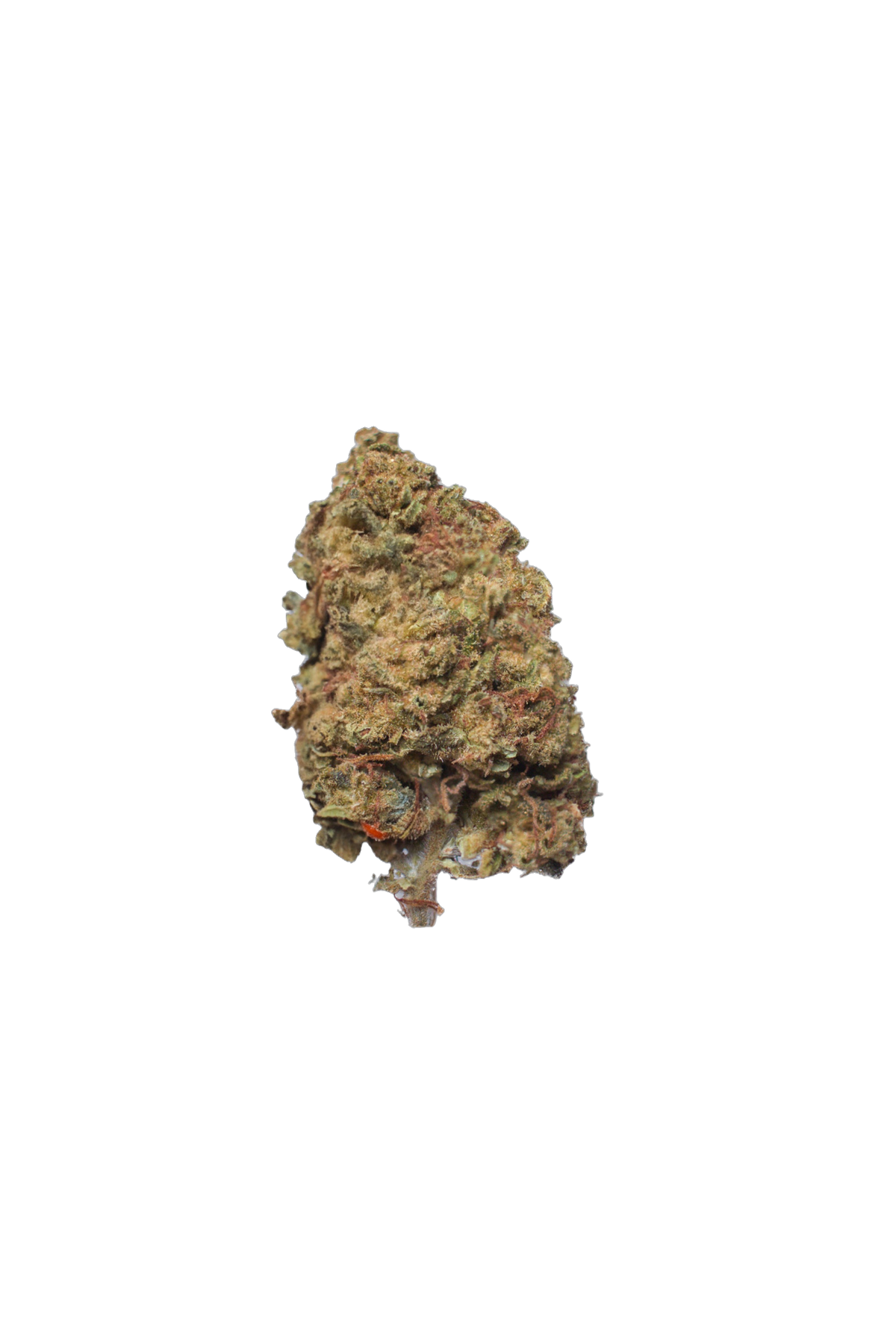Loud Cake cannabis flower bud