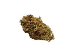 Mandarin Skittles cannabis flower bud