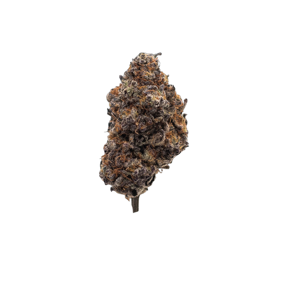 Mango Tango cannabis flower bud