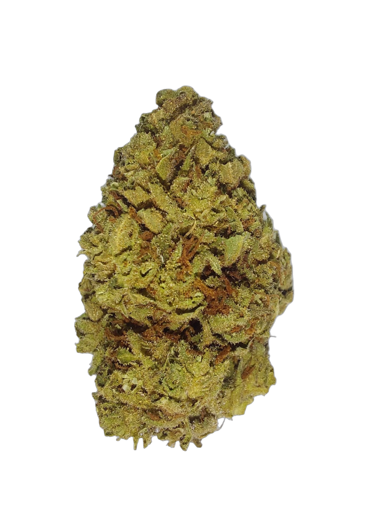 Mimosa (Organic Living Soil) cannabis flower bud