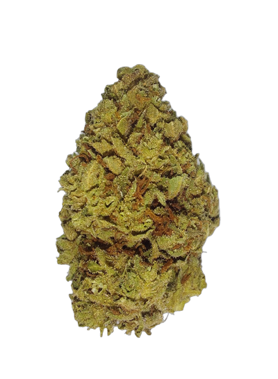 Mimosa (Organic Living Soil) cannabis flower bud