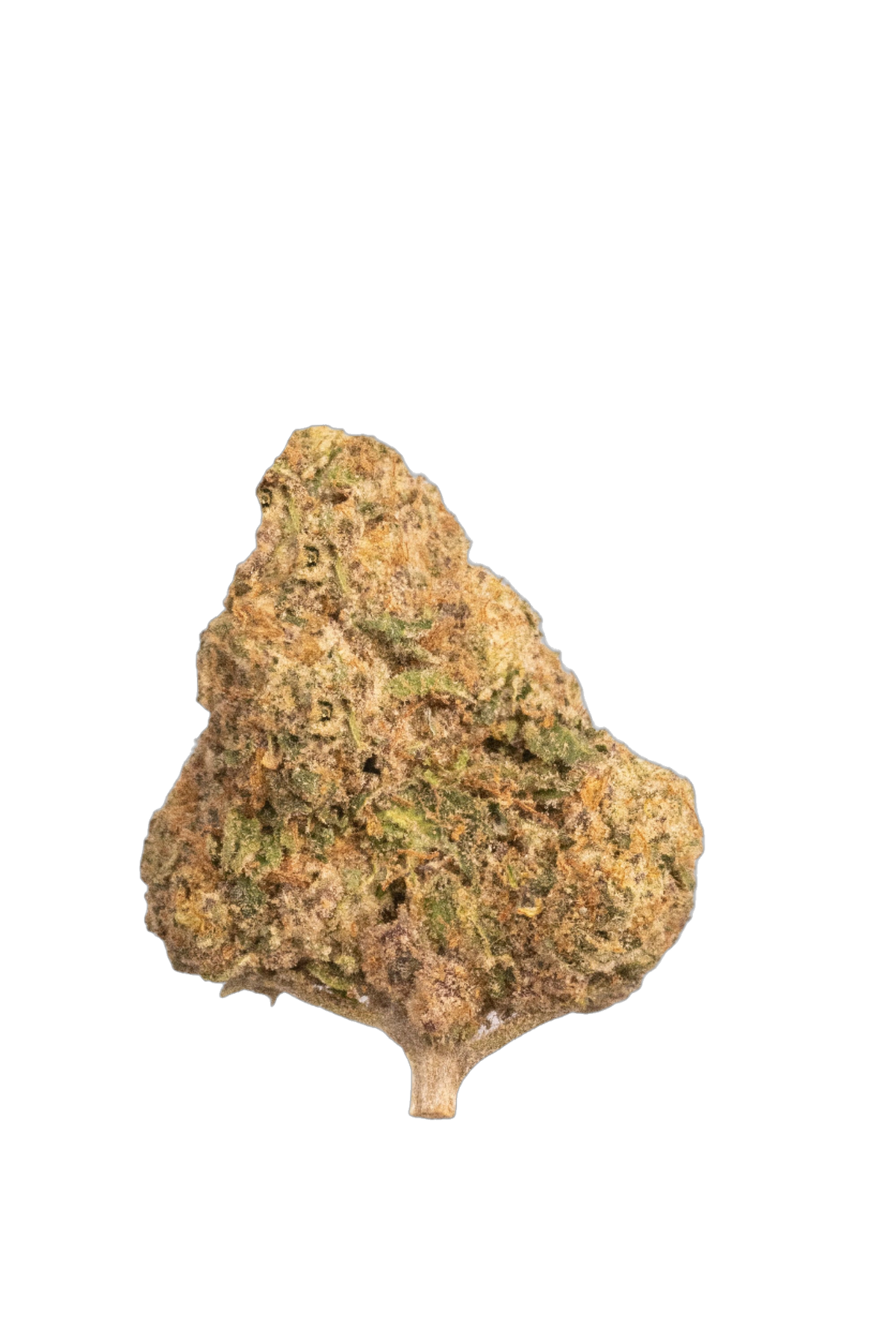 Mimosa cannabis flower bud