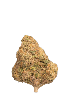 Mimosa cannabis flower bud