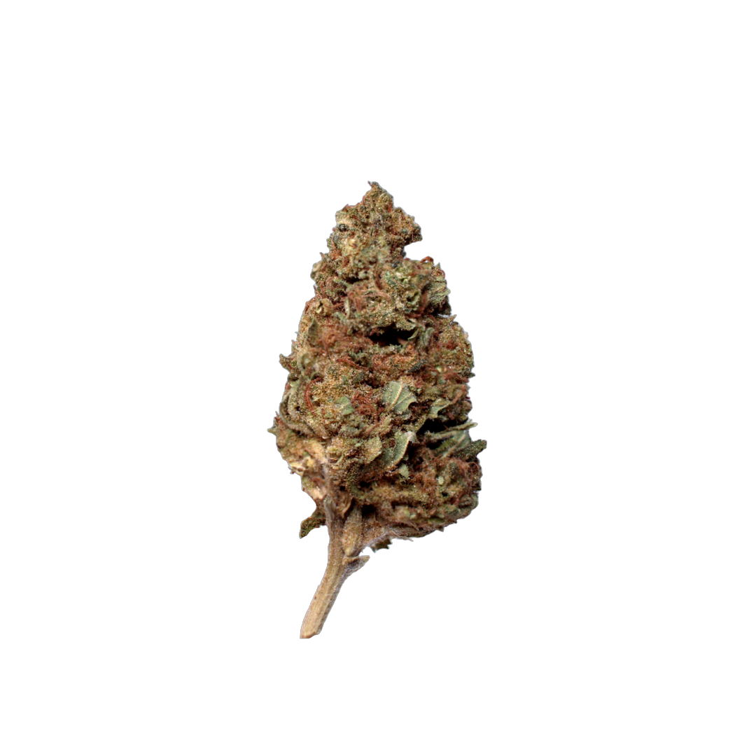 Obi Wan Kinobi (Organic Living Soil) cannabis flower bud