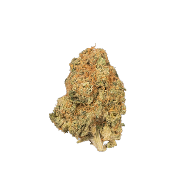 Orange Cake cannabis flower bud