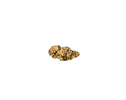 Pineapple Express (Living Soil) cannabis flower bud