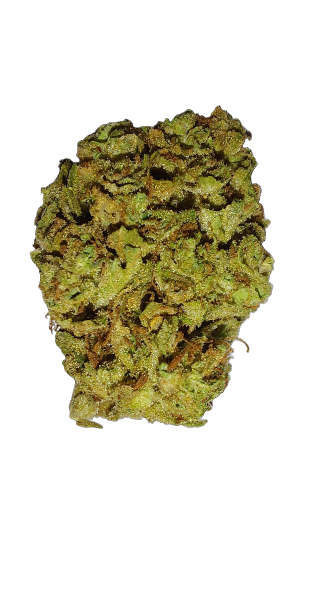 Pure Michigan (Organic Living Soil) cannabis flower bud