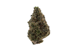 Pure Michigan cannabis flower bud