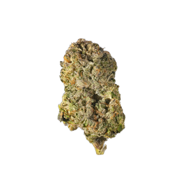 Purple Panda - Cannibisters Limited Collection cannabis flower bud