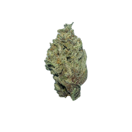 Purple Punch cannabis flower bud