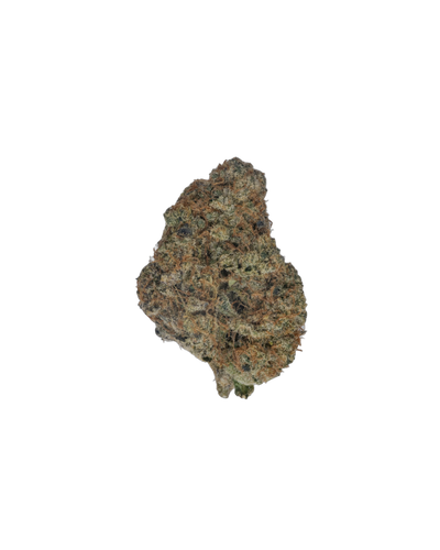Queen Sugar cannabis flower bud