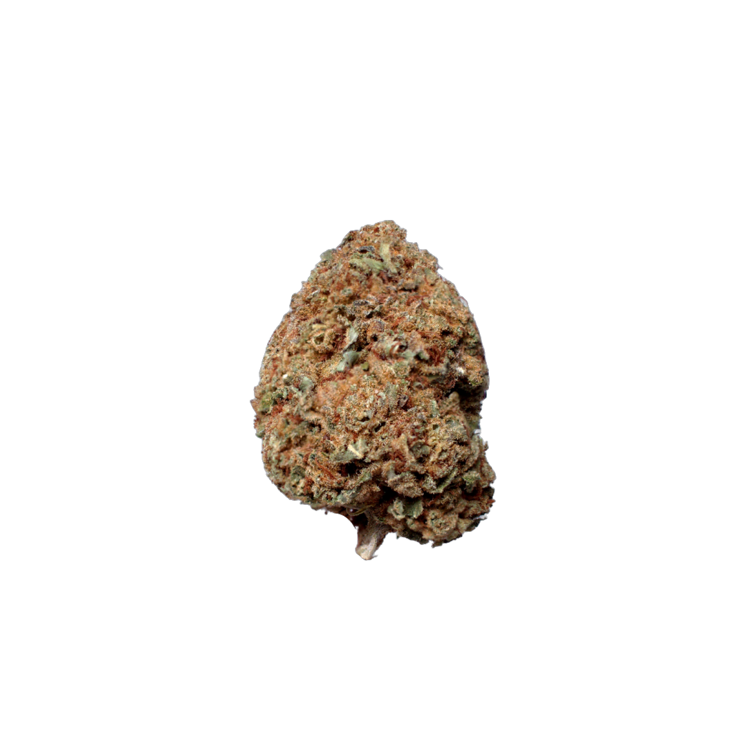 Ringo's Gift CBD (Organic Living Soil) cannabis flower bud