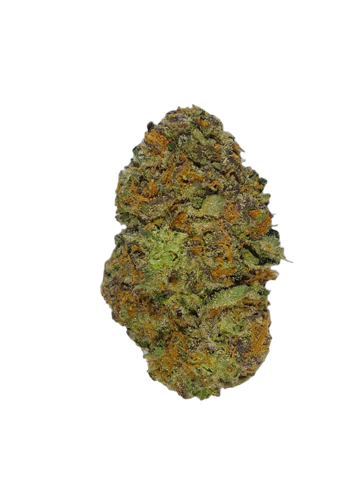 RS11 cannabis flower bud