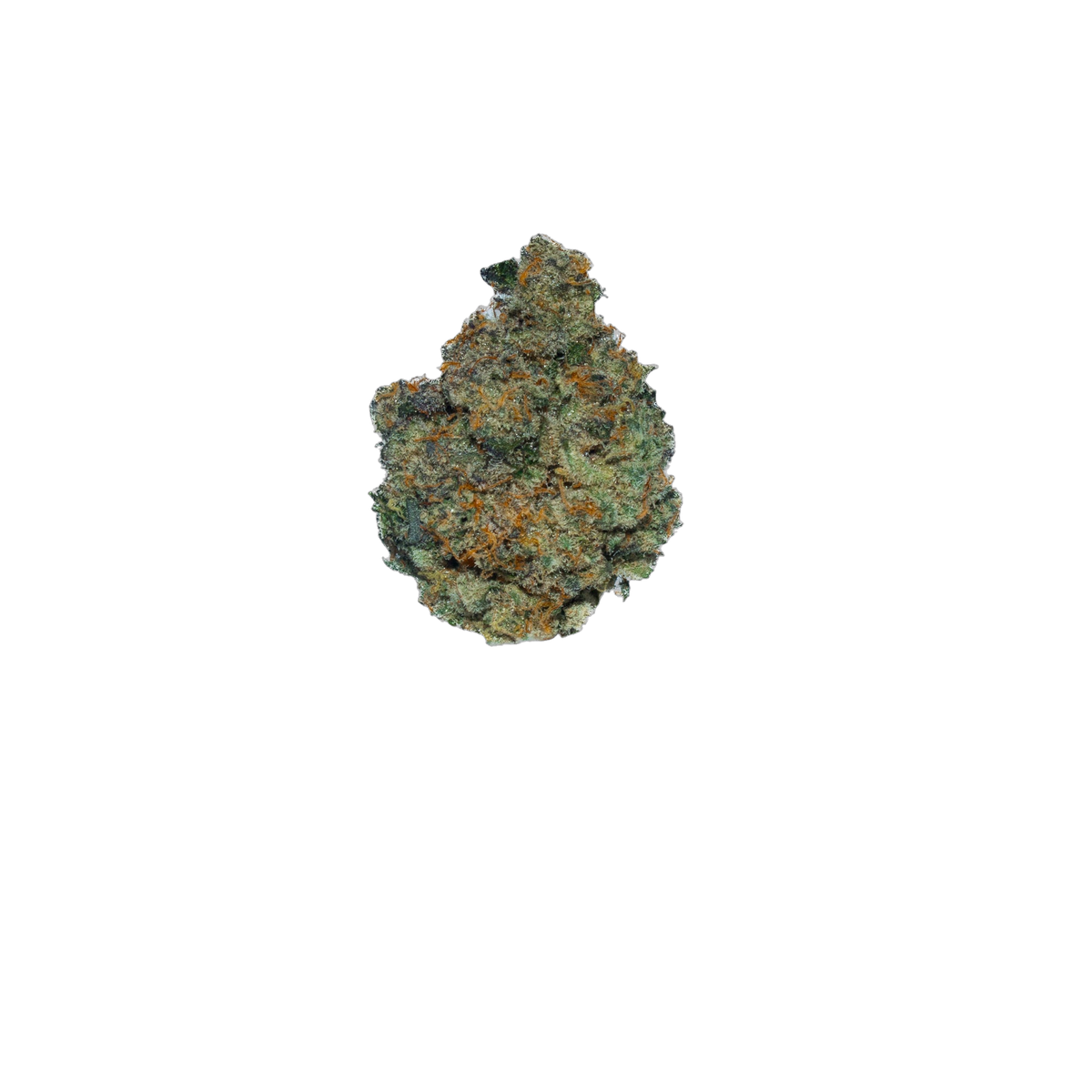 Sharpie cannabis flower bud