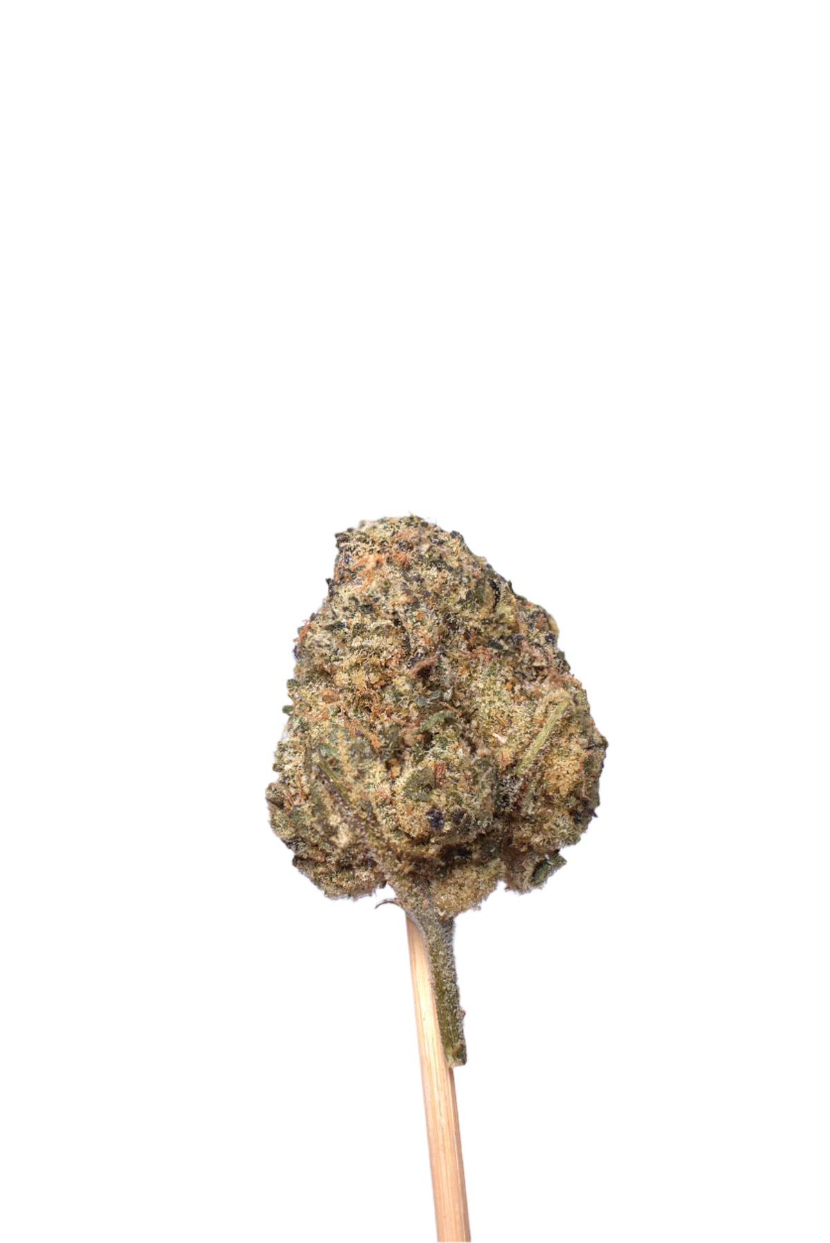 Slevin cannabis cannabis strain — buy online Cape Town | Cannibisters