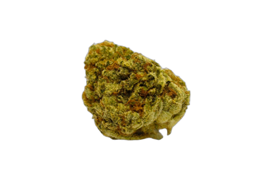 Sour OG Kush cannabis flower bud